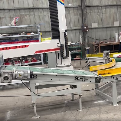 kopen 4-assige Automatische Servo Stapelaar Cracker Universele Robots Palletiseren Aangepaste Kleuren Hoge Capaciteit online manufacture