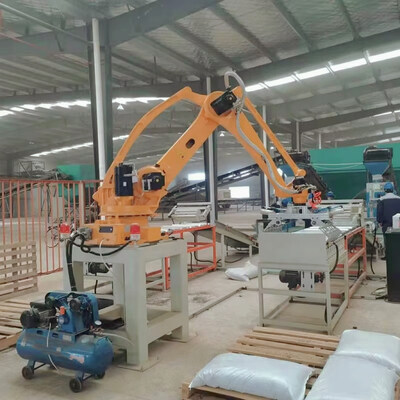 Beli Baris Produksi Baru Paletisator Robot Otomatis MesinArm Gripper Bag Box online manufacture